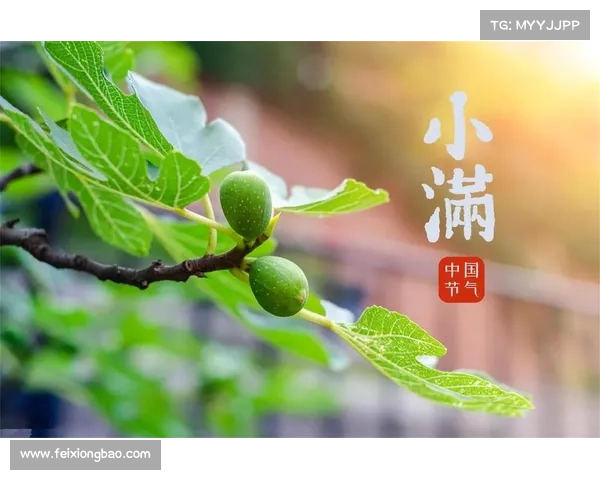 在小满时节感受大自然的恩赐与生机体验 在小满时节感受大自然的恩赐与生机体验