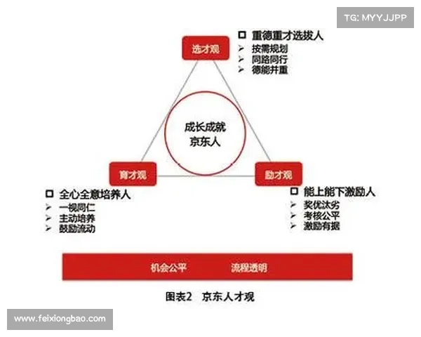 提升英雄联盟段位奖励机制解析与玩家成长激励分析