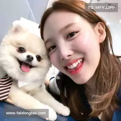 成歌舟